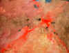 Red Flow, acrylic on birch, 24" x 32" n/a